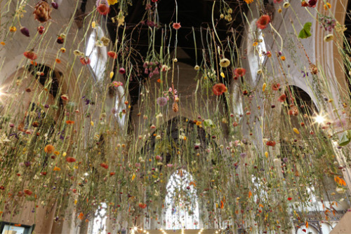 shaitea: aeolust: staceythinx: Hanging gardens by Rebecca Louise Law holy fuck Ohmy wow