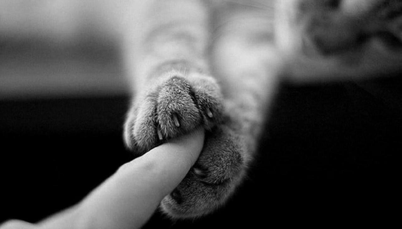 sexyhappychic:  Gotcha..