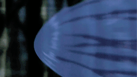 Zutara + Being Badasses