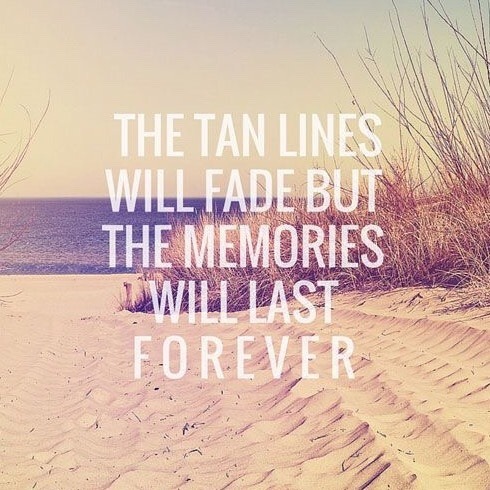 daisiesmakingchains:aesthetic / / Brandon Carlo + summer