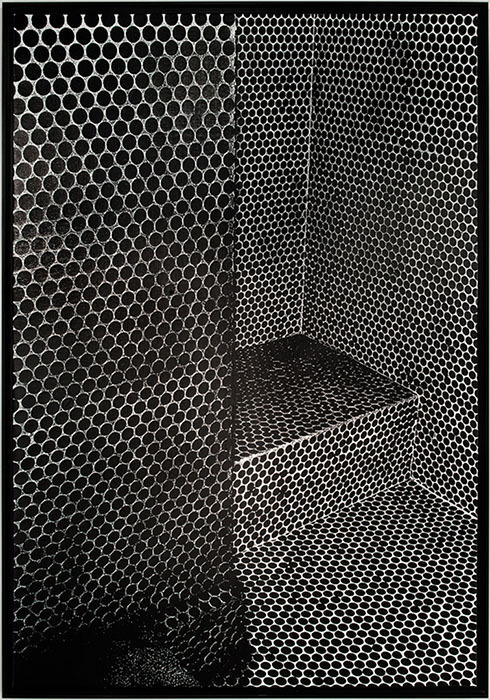 shihlun:  Daido Moriyama, How to Create a Beautiful Picture: Tiles of Aizuwakamatsu, 1987.