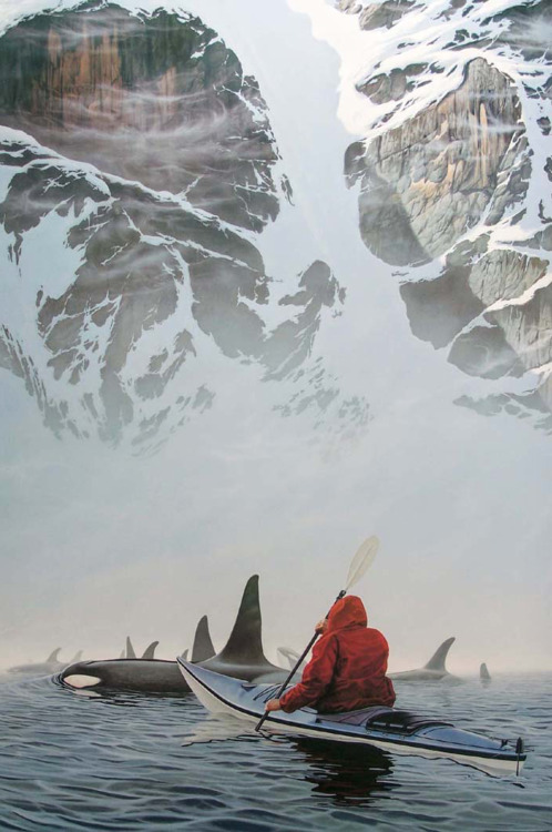 travelgurus: Kayaking with Orcas at Orcas Cove, Ketchikan, Alaska Join HobbyEarth for more Beau