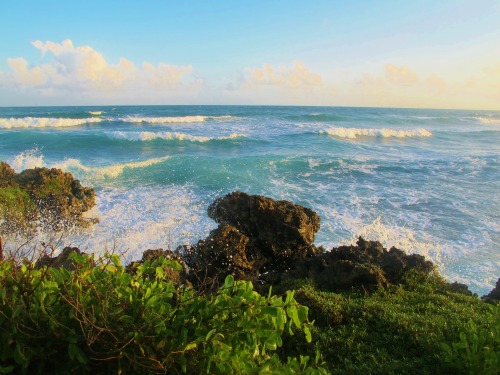 jurassicparkss:Trinidad and Tobago + Water