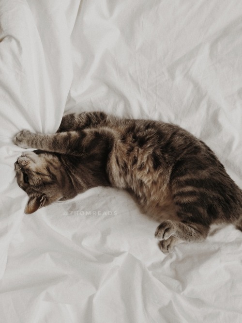 thomastudies:  book mail of the day: flux by orion carloto featuring my lovely cat ☕ Instagram / You