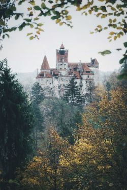 landscape-photo-graphy:  Exquisite Landscape Photography Mirror Real Life Fairytale Sceneries by Patrick Monatsberger Keep reading