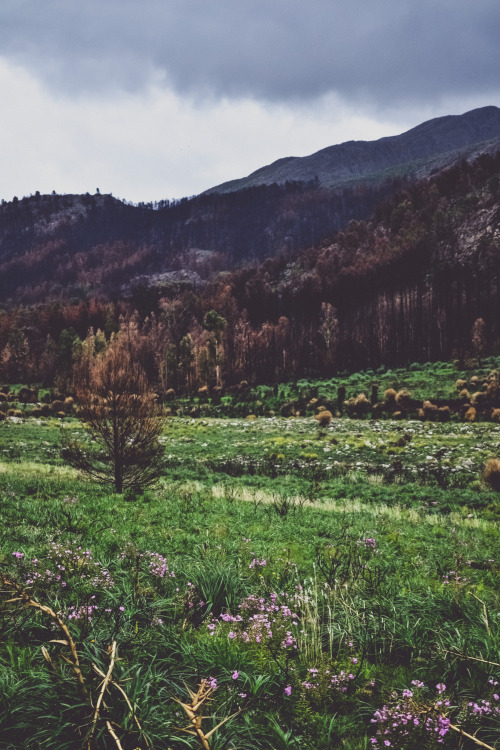 matialonsorphoto:Sierra de la Ventana by matialonsor