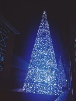 Local shopping centre at Christmas is simply beautiful