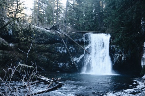 nuhstalgicsoul: Oregon felt like a dream By: Corbin Callaway