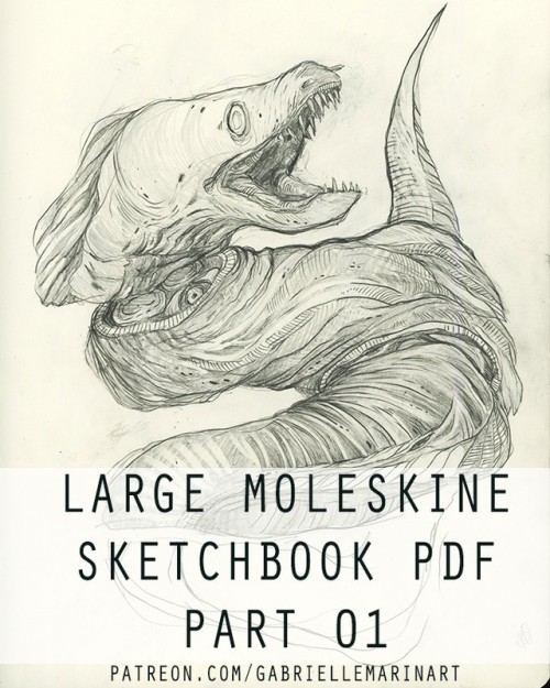 The last Sketchbook PDF is now up on my Patreon! Accessible to 2$+ backers⁠ ⁠ #supportartists #buyar