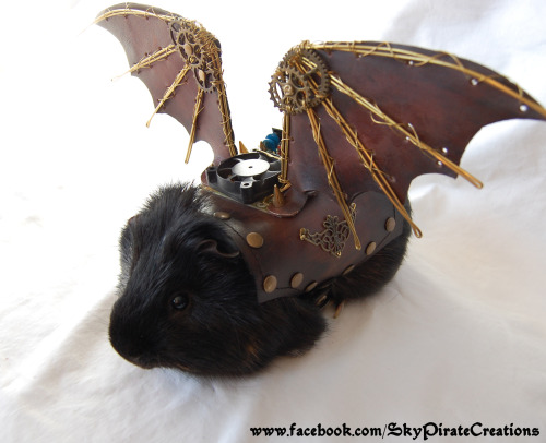 skypiratecreations:Ladies and Gentleman, i present you Pulguinha, the Steampunk Guinea Pig! He is th