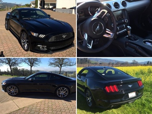 Great short-term lease on a 2015 Ford Mustang EcoBoost $465.42/mo12 month Lease Transfer in St. Hele