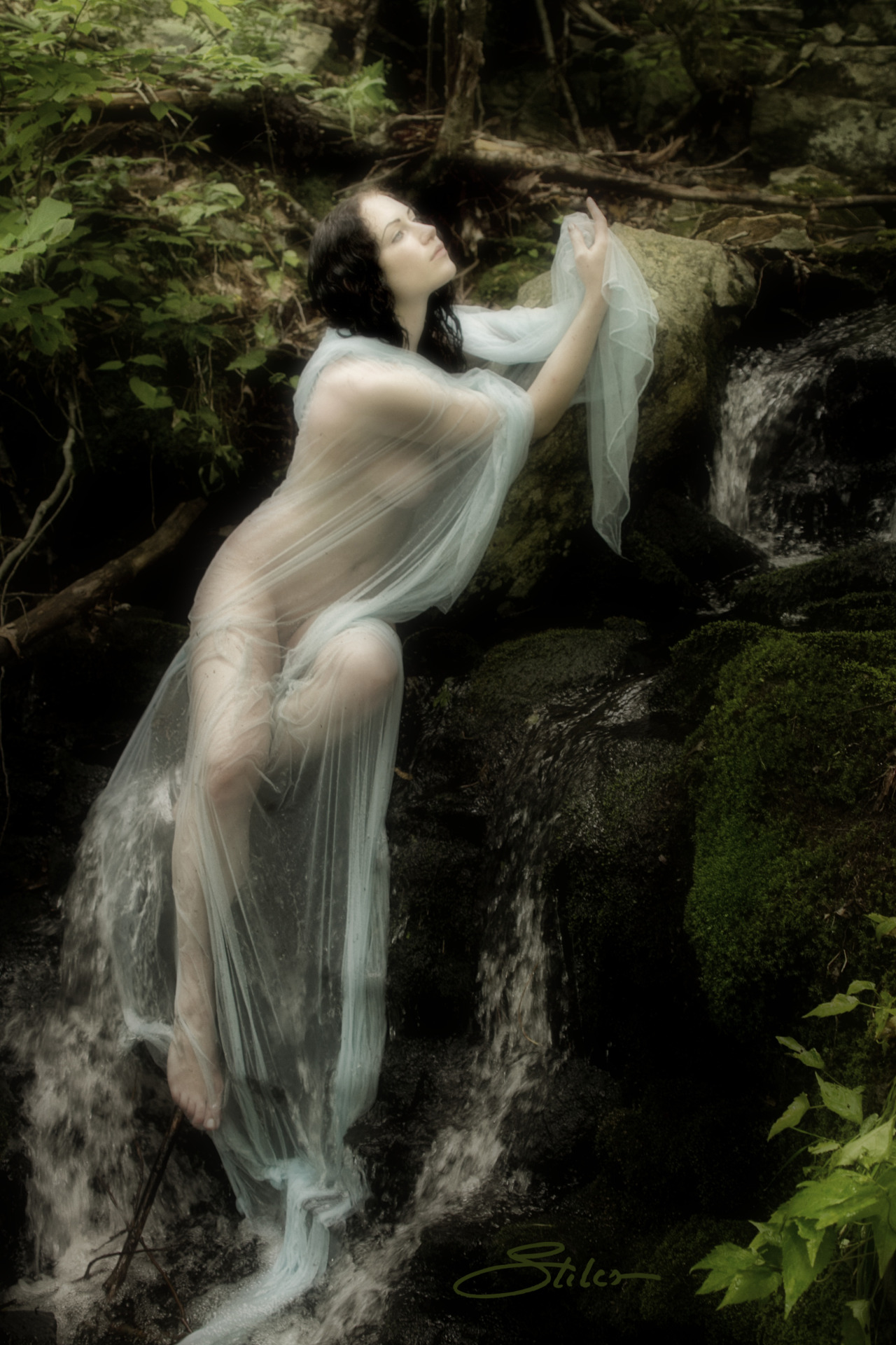 kjstiles: ‘Enchanted Falls’ with Melantha Cassytha…by Kevin Stiles. (please