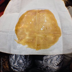 coralreefer420:  It’s still #shatterday