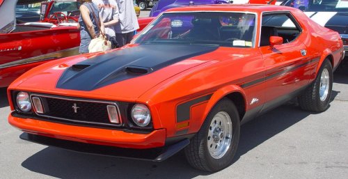 Muscle Cars Fans