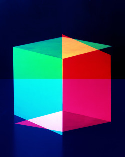 newyorker:  “Cubes for Albers and LeWitt,
