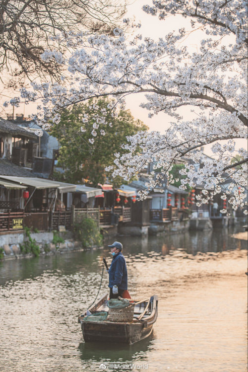 fuckyeahchinesegarden:西塘 xitang, jiaxing, zhejiang province by MoorWorld