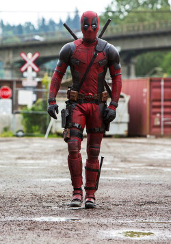 verticalfilm:  Deadpool (2016)   *diddling