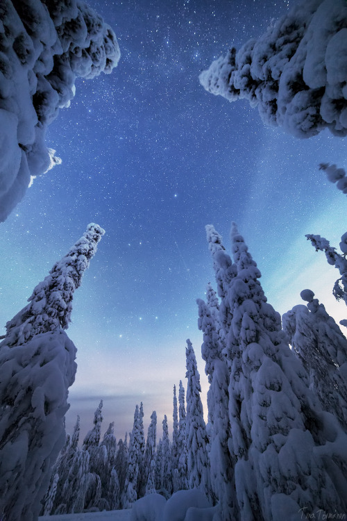 tiinatormanenphotography:Trees. I really like those snow covered trees. Jan 2015, Posio, S