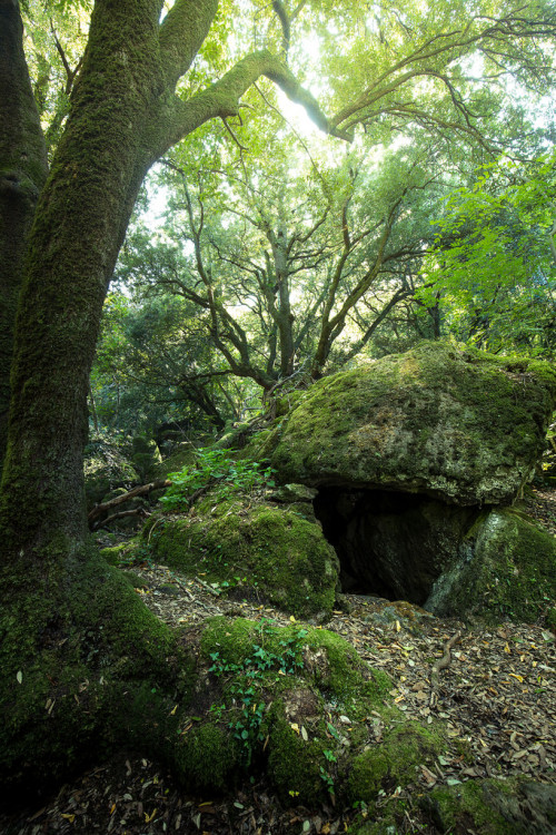 wanderthewood:  Acquapendente, Lazio, Italy by Massimiliano Teodori 