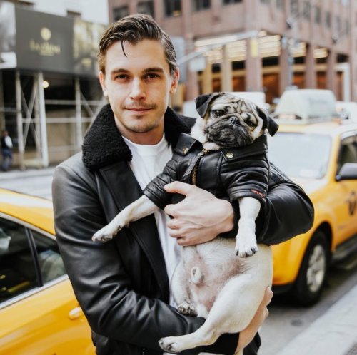 fuckyeahantoniporowski: Antoni + Doug the Pug