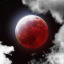 insightofthestars
