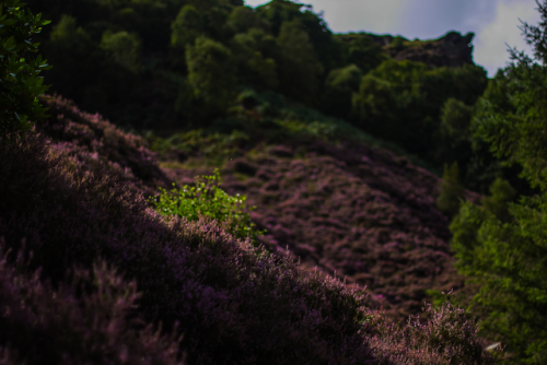 garettphotography: August 26th, 2017 - Todmorden, West Yorkshire | GarettPhotography