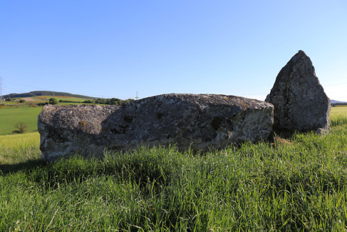 Balquhain Recumbent Stone Circle, Aberdeenshire, 27.5.18.This recumbent stone circle occupies a fant