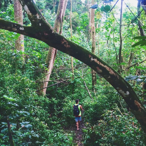 jessicasulls:  Found my soul in Kahana Valley this weekend 💓