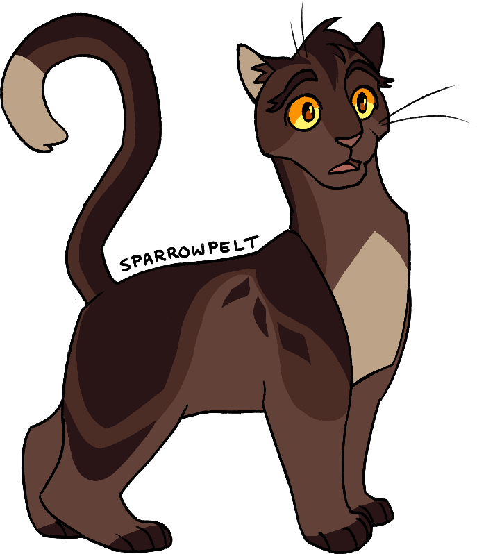 Warrior Cat Designs  Warrior cats art, Warrior cats, Warrior cat