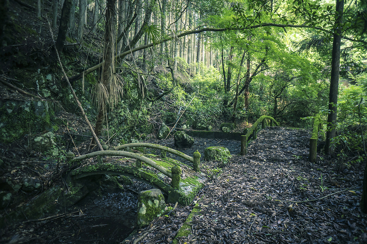 elugraphy:Abandoned   playground in forest 01.