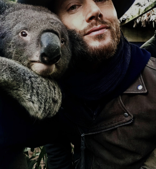 justjensenanddean: Jensen Ackles | Wild Action Zoo, Australia, May 2019[x] 