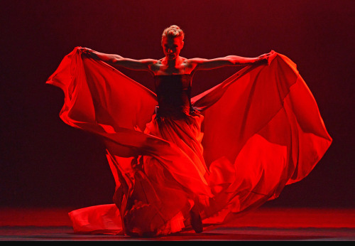 Zenaida Yanowsky in Symphonic Dances, Royal Ballet, May 2017. © Dave Morgan.Yanowsky, coming to the 