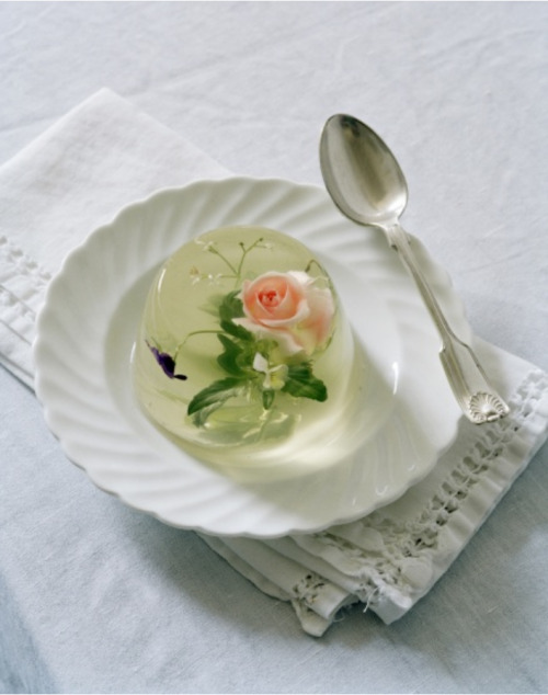 ROSEHIP &amp; BORRAGE FLOWER IN JELLY. Tim Walker 2010