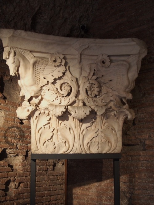 thesilenceofthemarble: Capitel decorated with pegasus belonging to the cella of the temple of Mars U