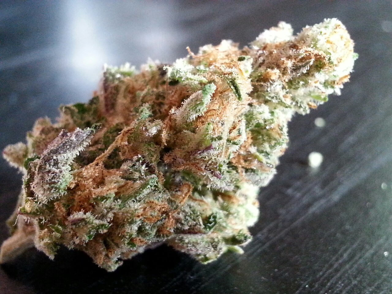 smoketogethighcustheworldissolow:Just look at it 😍