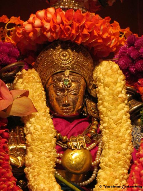 arjuna-vallabha:Sri Ranganayaki Thayar Unjalothsavam at Srirangapatnam