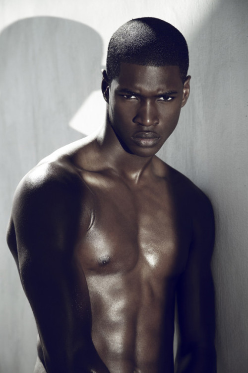 African black twink