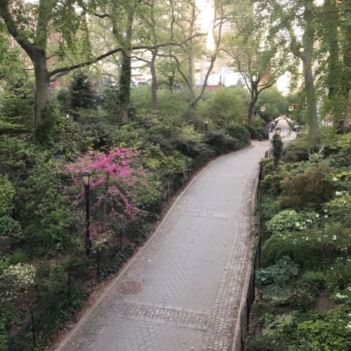 himerune: secret garden ♡  this park is my little ‘manhattan’ secret- almost never crowded (UES cent