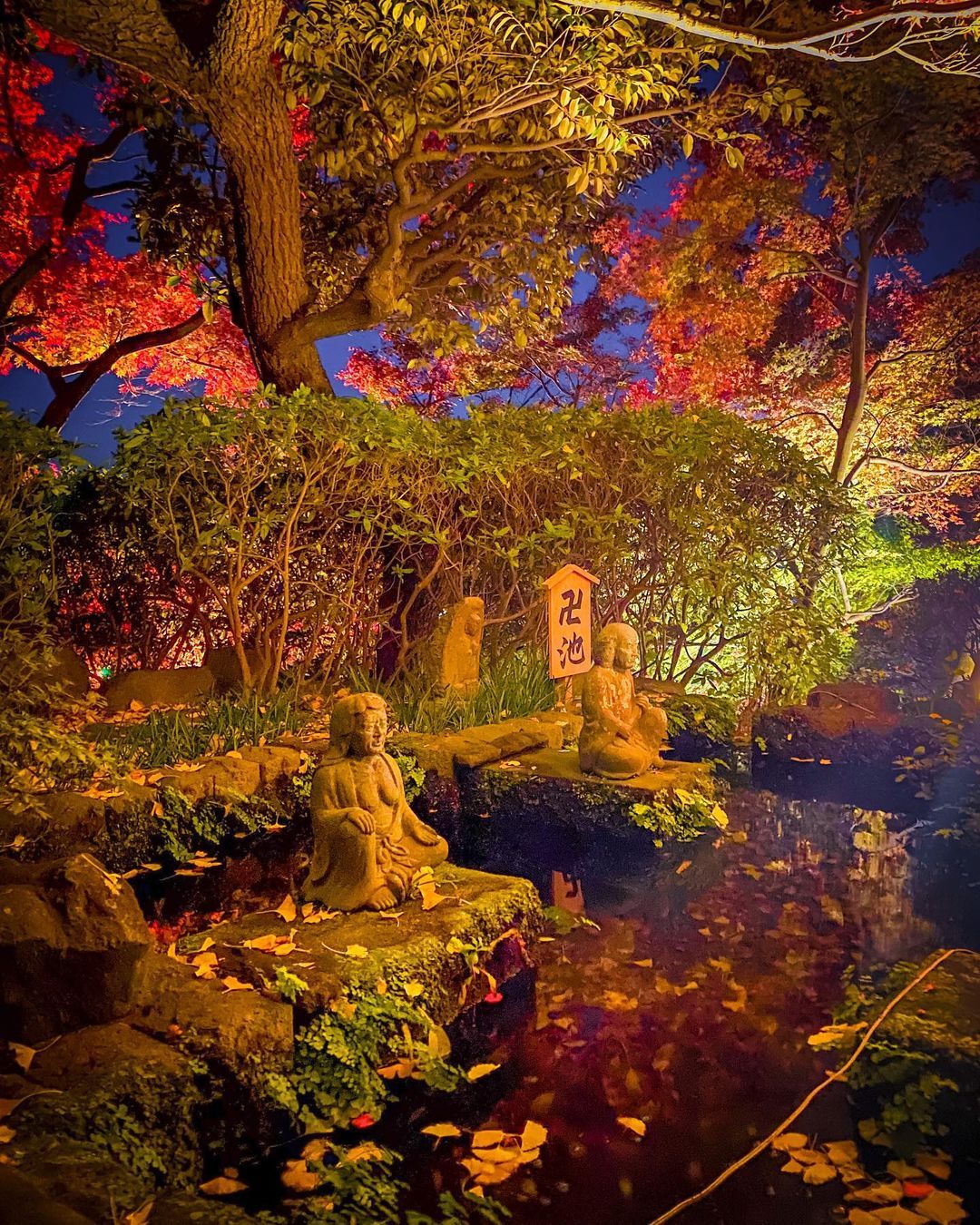 鎌倉長谷寺 Explore Tumblr Posts And Blogs Tumgir 鎌倉長谷寺 Explore Tumblr Posts And Blogs Tumgir