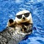 otterteaf