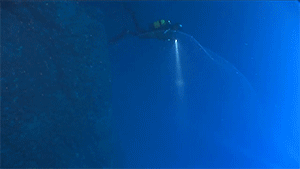 zerostatereflex:  Massive underwater blob off the coast of Turkey“A mysterious, gelatinous blob recently found off the coast of Turkey has been puzzling divers in the area.”“The transparent sphere measures around 13ft (4 metres) and was floating