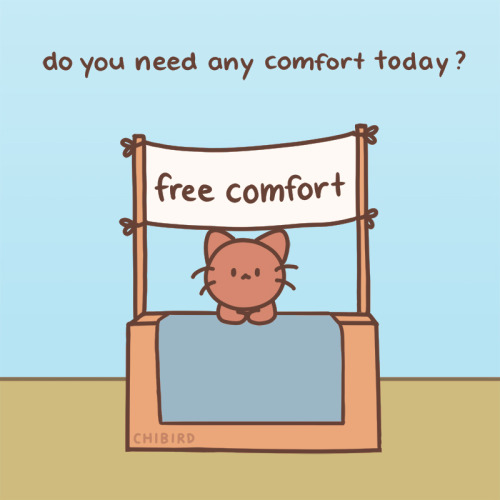 chibird:Share with anyone who might need some extra comfort this week.The cat is in and ready to dis