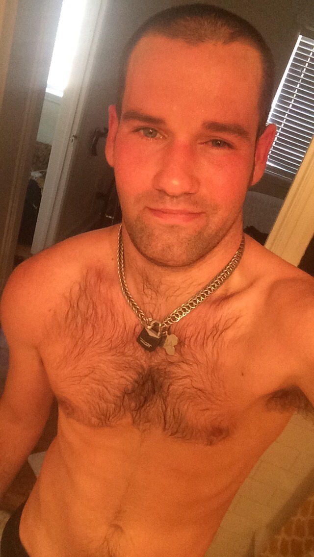pocketrunner:  sweaty puppy