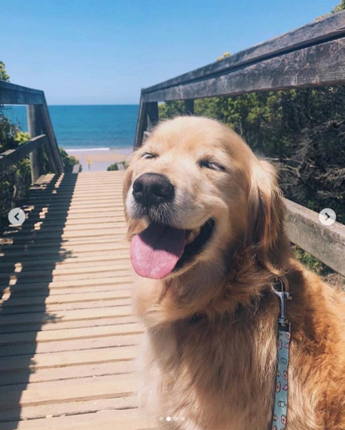 animalrates:Lily would definitely get a solid 13/10