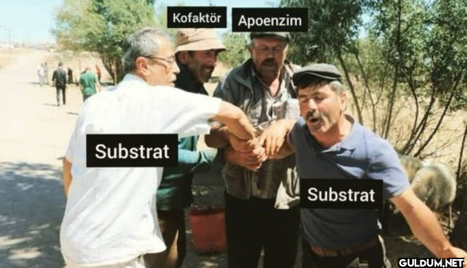 Substrat Kofaktör Apoenzim...