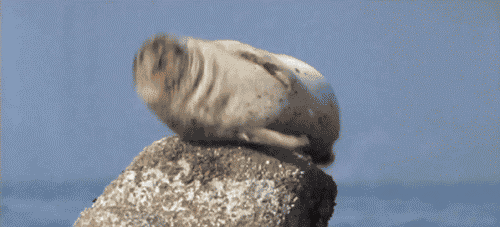 dutchster:  when you have the hiccups while trying to sleep  
