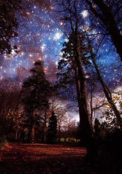 shyowl:  lori-rocks:  Day and Night (by Funky Slug)   