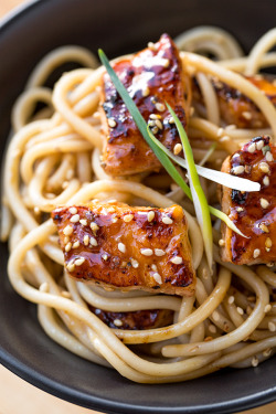fattributes:  Teriyaki Salmon Noodle Bowls with a Sesame-ginger Sauce