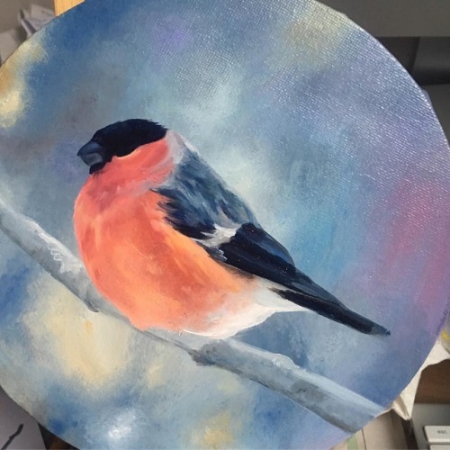 Bullfinch painting stage 2 ✌#bullfinch #painting #bird #birds #oilpainting #illustration #bokeh #pai