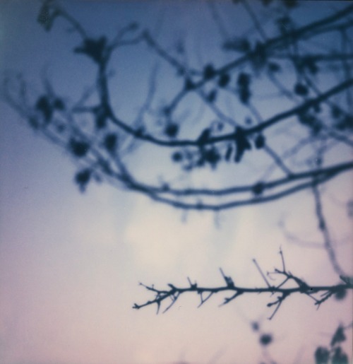 adamgoldberg:  on a walk around 5 today.   